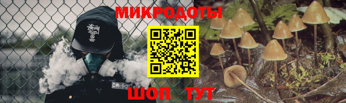 Псилоцибиновые грибы Psilocybe  Вход с VPN  Галлюциногенные грибы GOLDEN TEACHER  Владивосток 